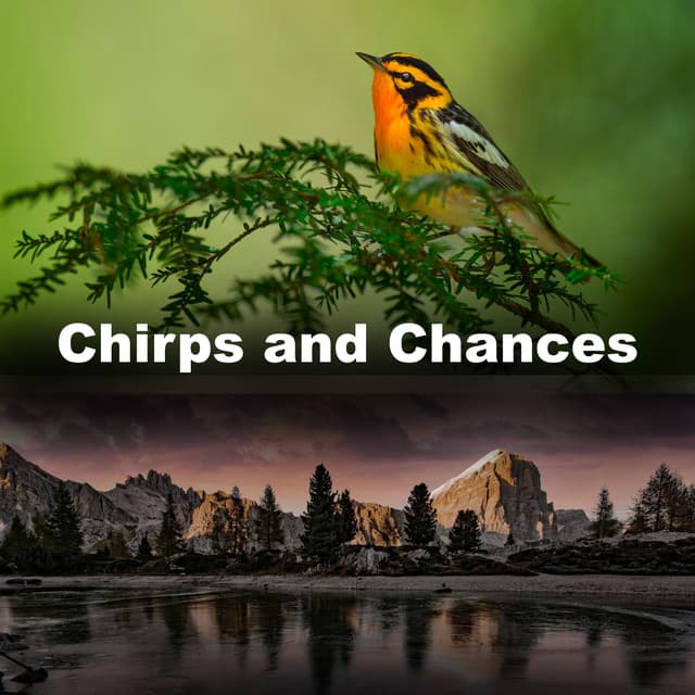 Chirps and Chances - Sounds of Nature White Noise for Mindfulness Meditation and Relaxation