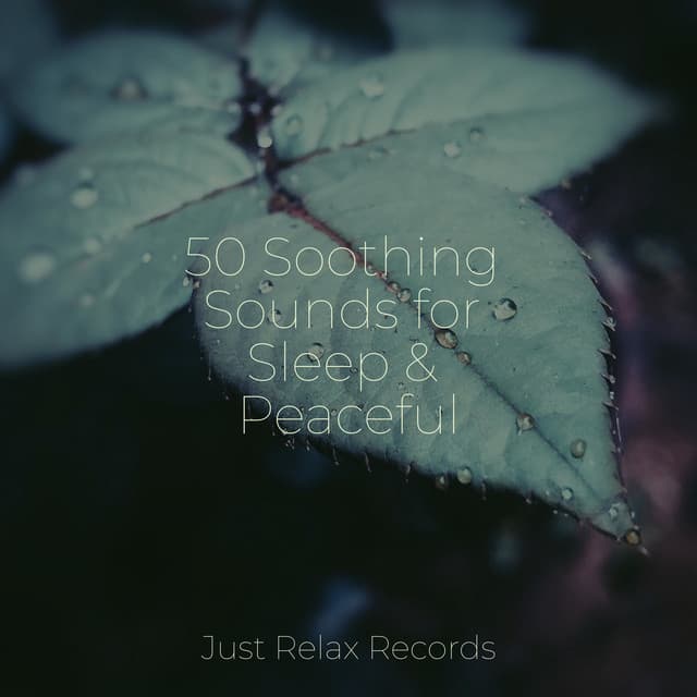 50 Soothing Sounds for Sleep & Peaceful - Japanese Relaxation and Meditation