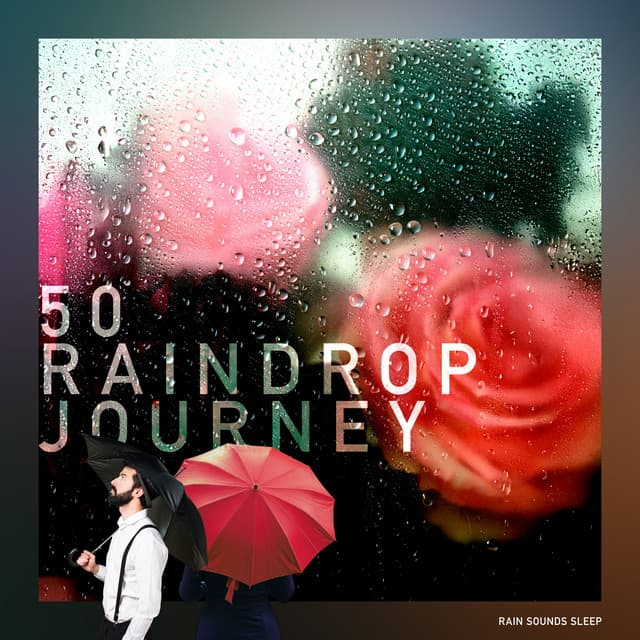 50 Raindrop Journey - Rain Sounds Sleep