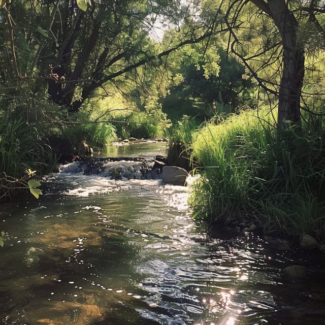 Relajación Con El Arroyo: Aguas Calmantes Contra El Estrés - Ruidos Relajantes