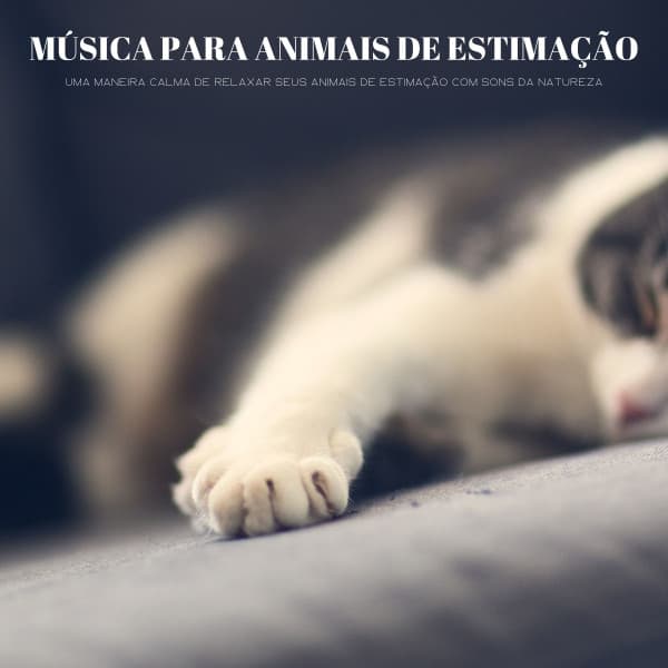 Música Para Animais De Estimação: Uma Maneira Calma De Relaxar Seus Animais De Estimação Com Sons Da Natureza - #Calmante
