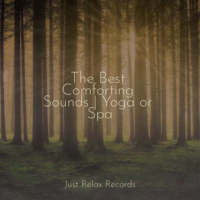 The Best Comforting Sounds | Yoga or Spa - Lucid Dreaming World-Collective Unconscious Mind