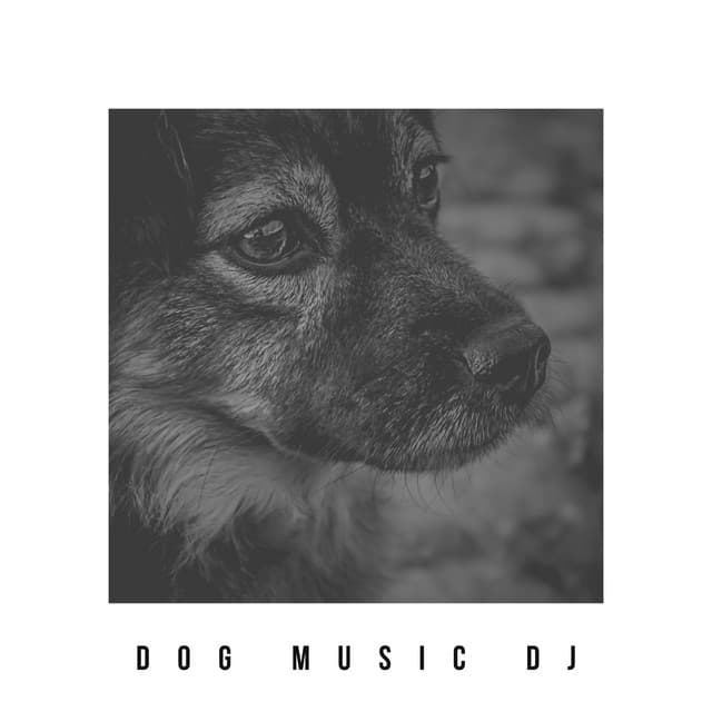 Healing Music For Dogs - Dog Music DJ