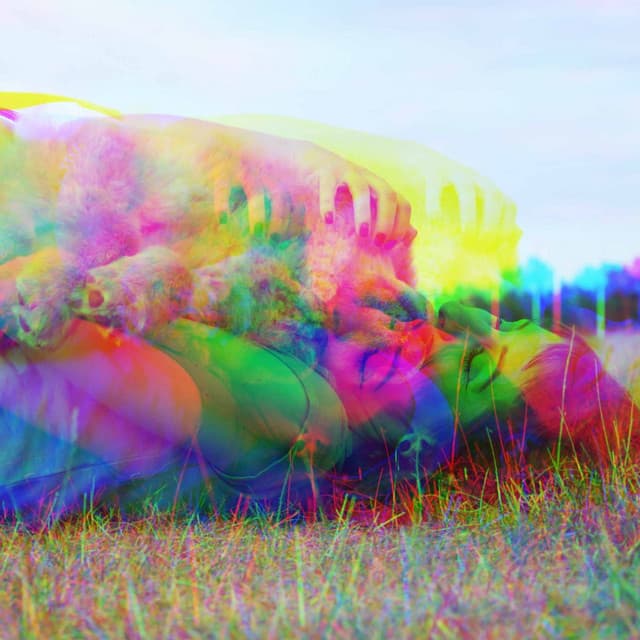 Spectacular Backdrop for Safe Doggies - Doggy Relaxing Sounds