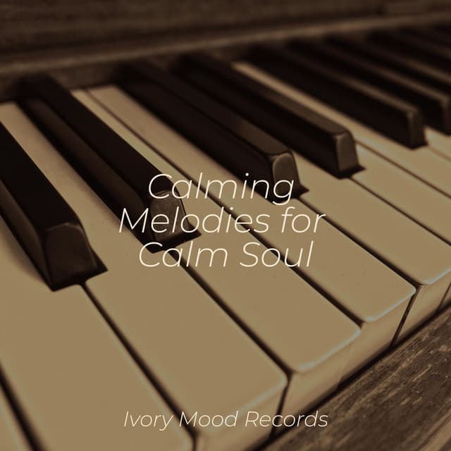 Calming Melodies for Calm Soul - Yoga Music