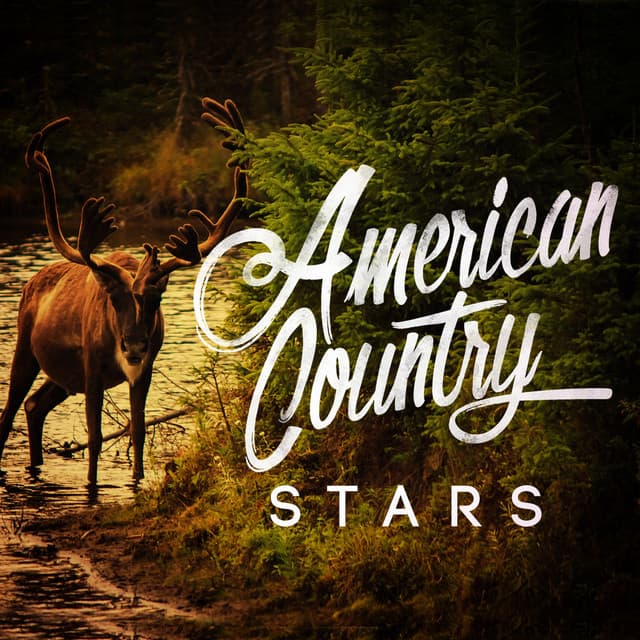 American Country Stars - Country Hit Superstars