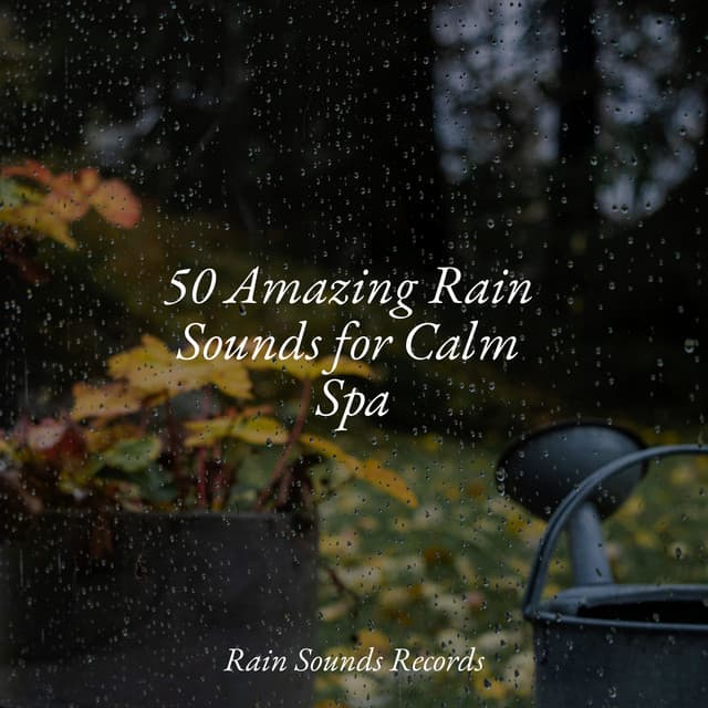 50 Amazing Rain Sounds for Calm Spa - Sleep Sound Library