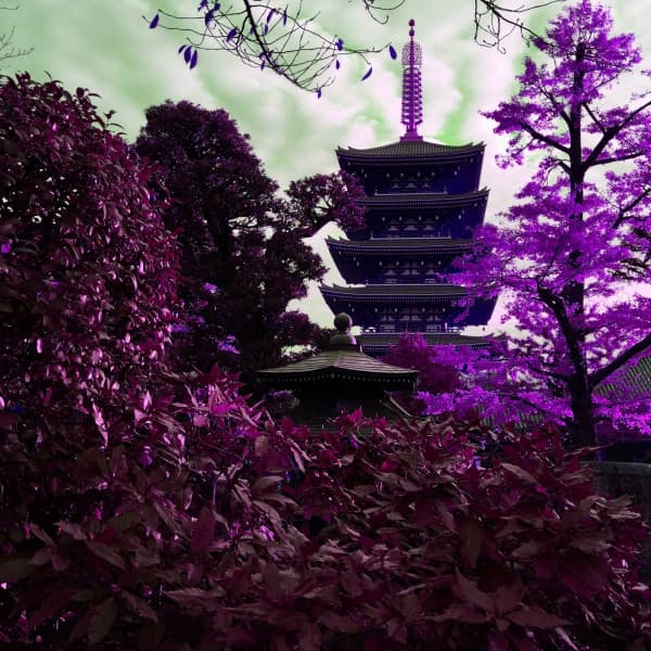 Fun Nights - Inspiring - The Cocktail Lounge Players