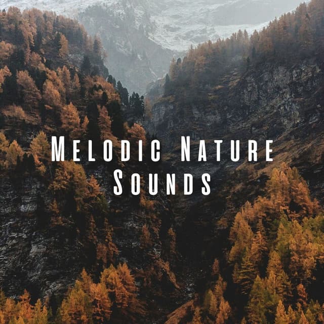 Melodic Nature Sounds - Nature Sounds Library