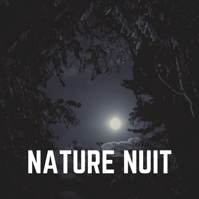Nature Nuit - Sons de la nature