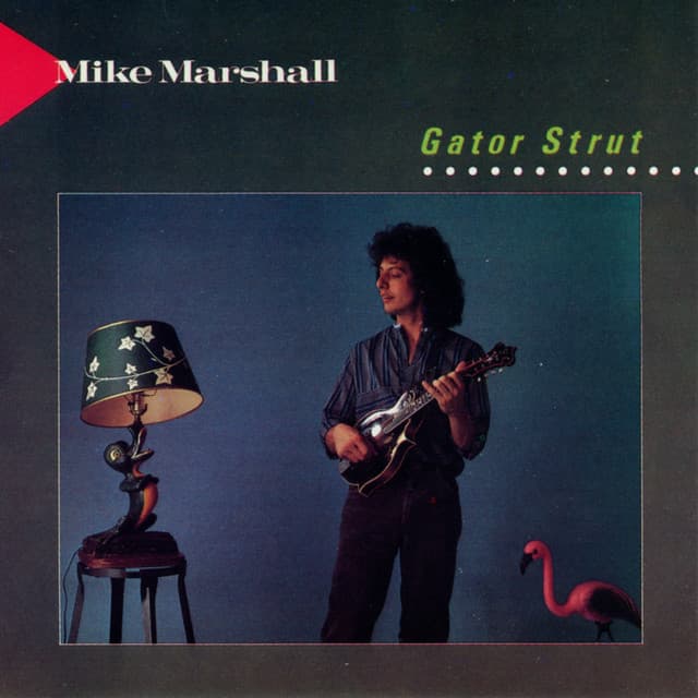Gator Strut - Mike Marshall