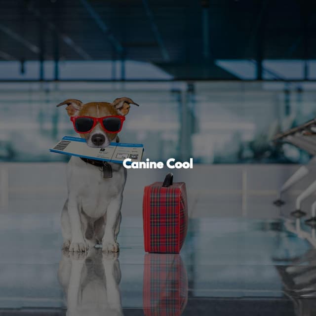 Canine Cool - Hotel Lounge Deluxe