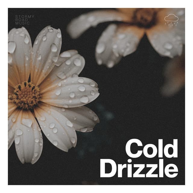 Cold Drizzle - Nature & Sounds Backgrounds