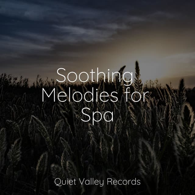 Soothing Melodies for Spa - Organic Nature Sounds
