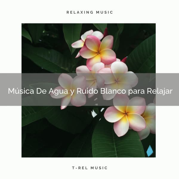 Música De Agua y Ruido Blanco para Relajar - Ruido Blanco Para Estudiar