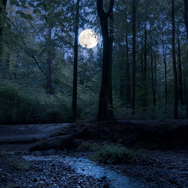 Soothe Your Night with Gentle Relaxation Sounds - Theta Aum