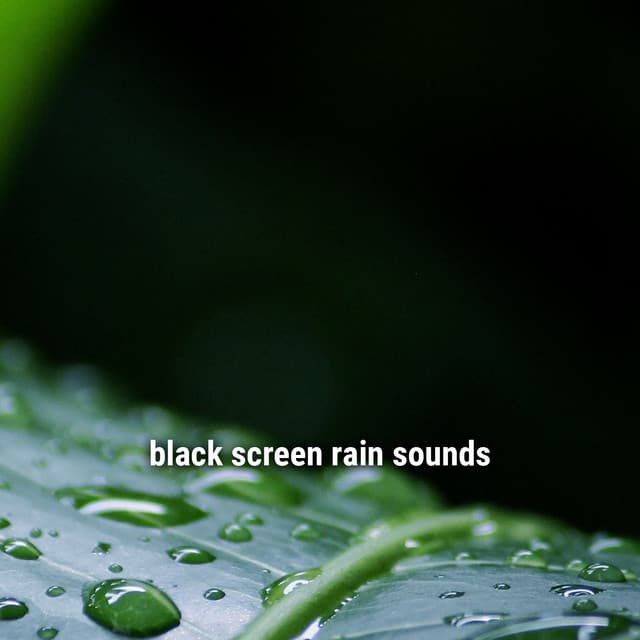 black screen rain sounds - Lightning, Thunder and Rain Storm