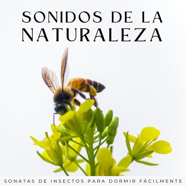 Sonidos De La Naturaleza: Sonatas De Insectos Para Dormir Fácilmente - La Naturaleza Del Sueño