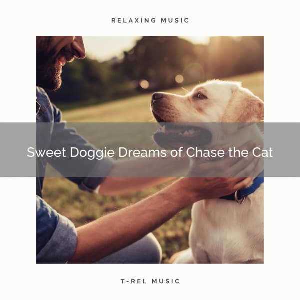 1 Sweet Doggie Dreams of Chase the Cat - Dog Total Relax