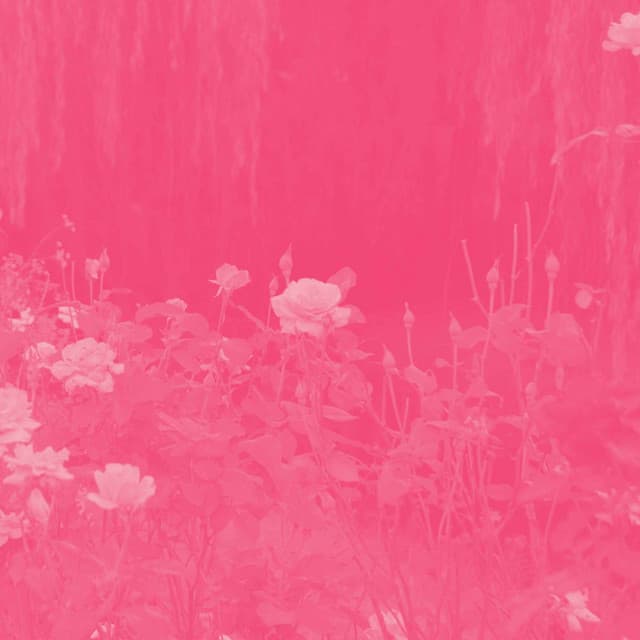 Wicked Piano Jazz Duo - Ambiance for Training Horizons - Instrumental Chill Jazz