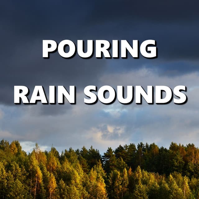 Pouring Rain Sounds - Wind and Rain Sounds