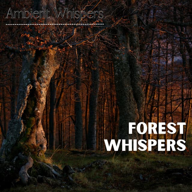 Forest Whispers - Ambient Whispers