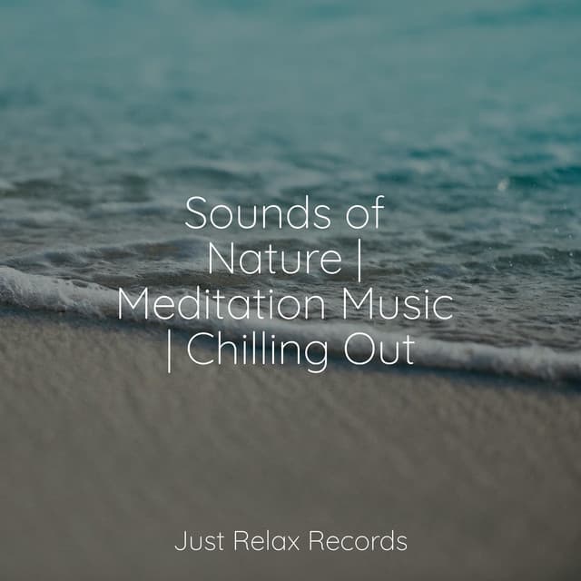 Sounds of Nature | Meditation Music | Chilling Out - Musica para Meditar