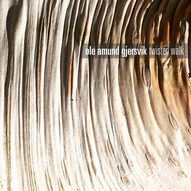 Twisted Walk - Ole Amund Gjersvik