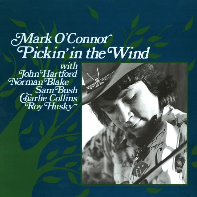 Pickin' In The Wind - Mark O'Connor