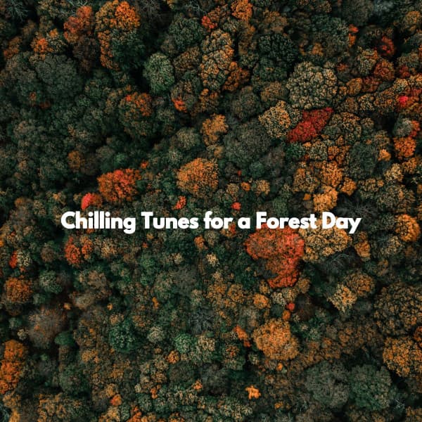 Hotel Music