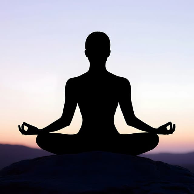 Meditate in Harmony