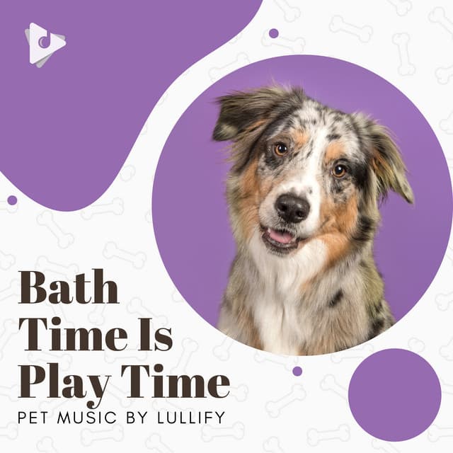 Bath Time Is Play Time - Pet Music by Lullify