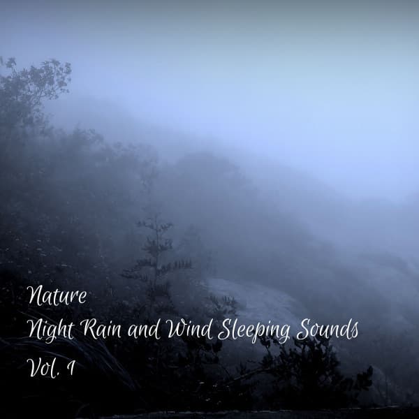 Nature: Night Rain and Wind Sleeping Sounds Vol. 1 - Rain Sound Experience