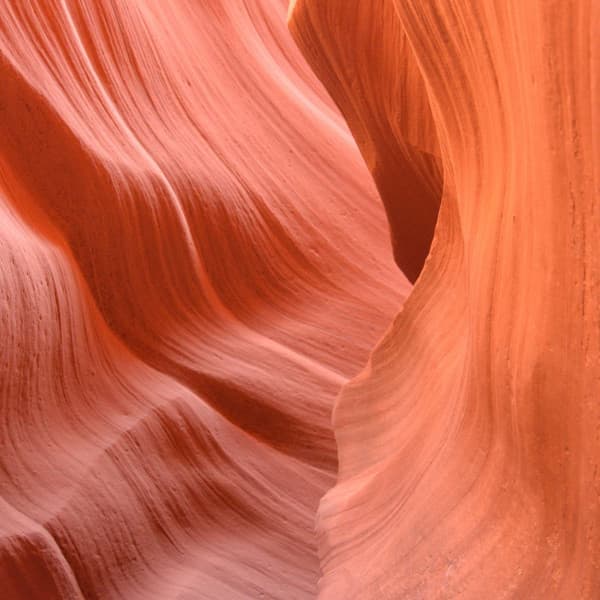 Echoes of Pleasant Homes - Bossa Nova Radio