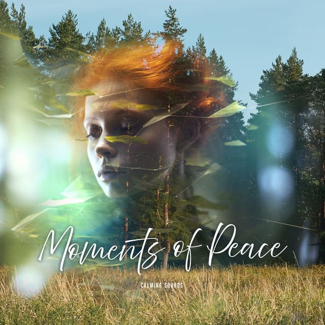 Moments of Peace - Calming Sounds