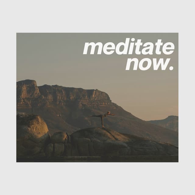 Meditate Now - Wellness