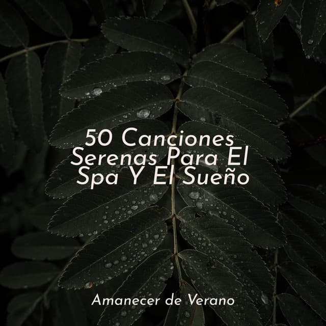 50 Canciones Serenas Para El Spa Y El Sueño - Musica Relajante & Yoga