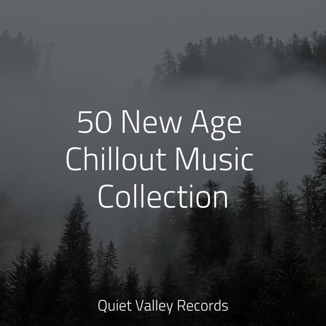 50 New Age Chillout Music Collection - Lullabies for Deep Meditation