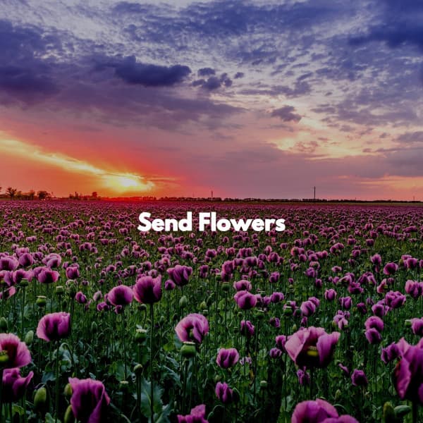 Send Flowers - Easy Listening Background Music
