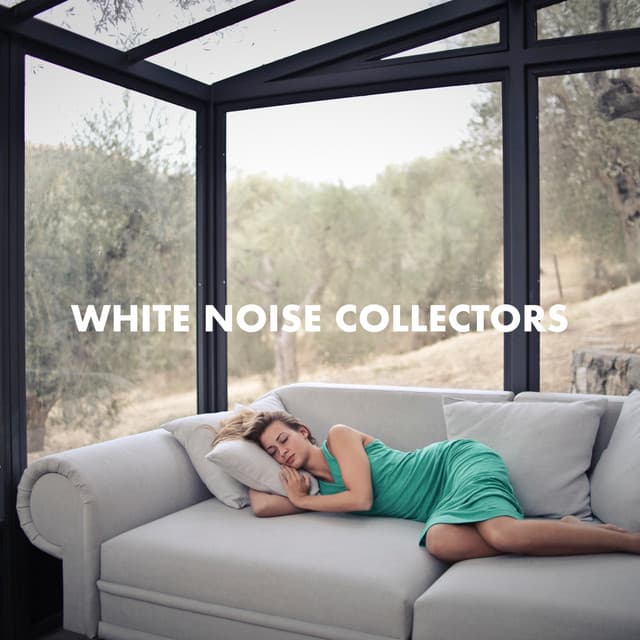Best White Noise in the Home - White Noise Collectors