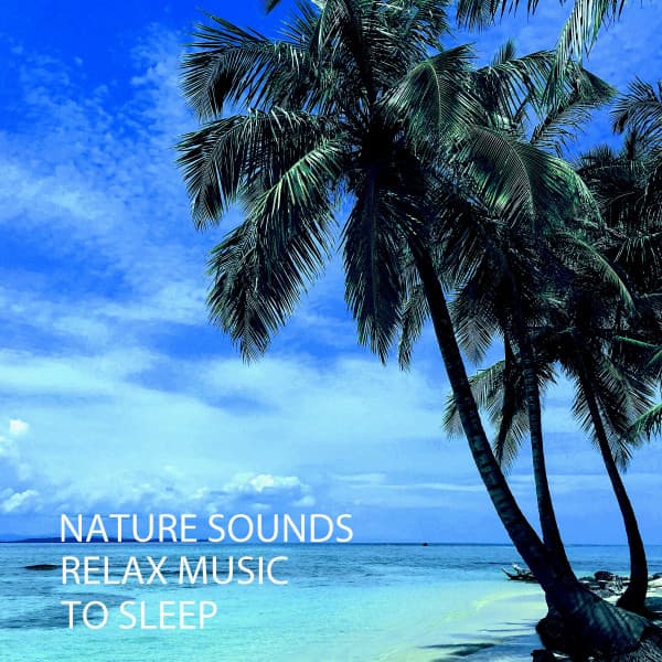 Relax A Wave