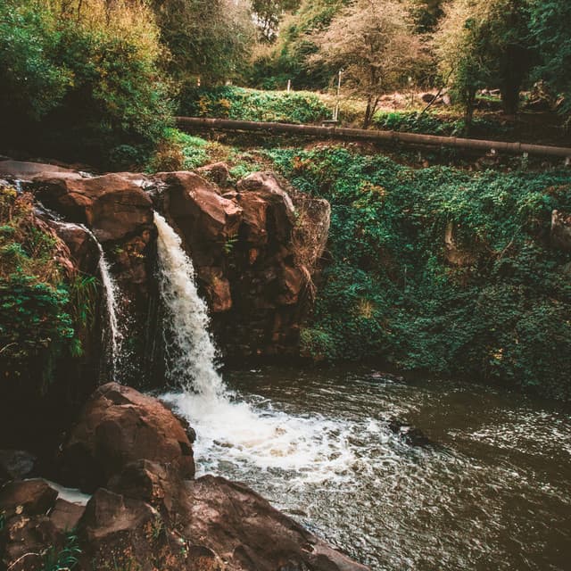 45 Songs With Nature: Blissful Creek - Baltic Nature Sounds
