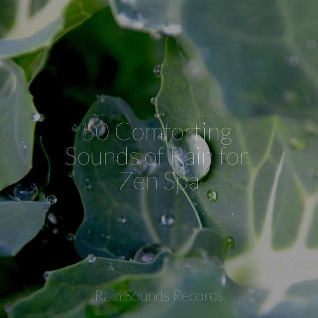 50 Comforting Sounds of Rain for Zen Spa - Lucid Dreaming Music
