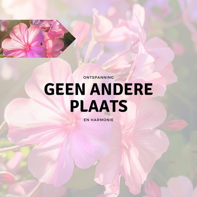 Geen Andere Plaats - Ontspanning en Harmonie