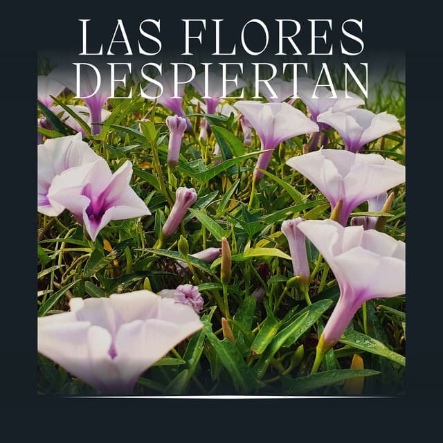 Las Flores Despiertan - Ruidos de la Selva