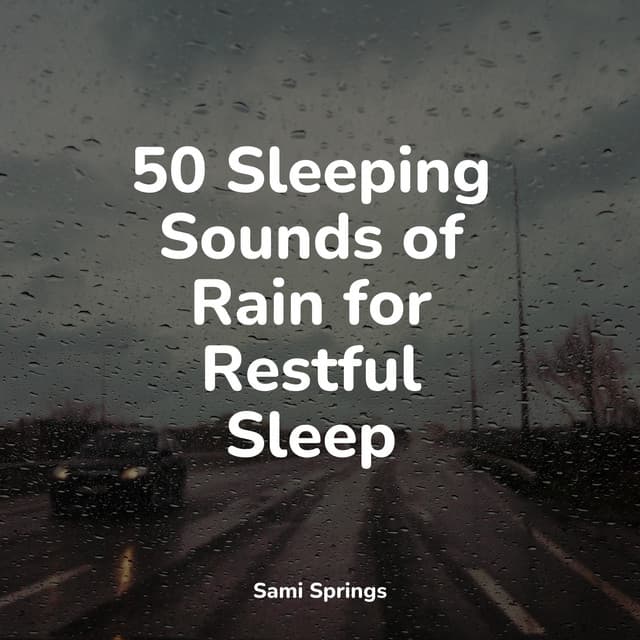 50 Deep Sleep Aid Rain Tracks - PowerThoughts Meditation Club