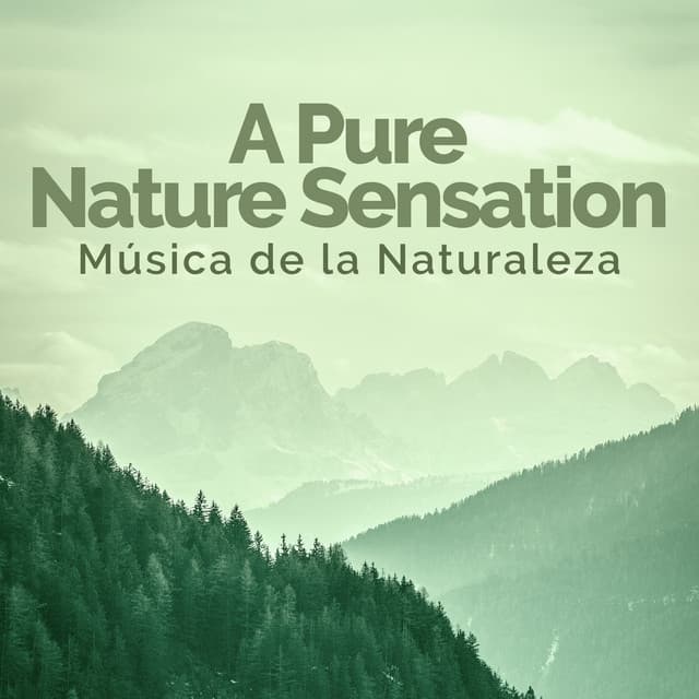 A Pure Nature Sensation - Música de la Naturaleza
