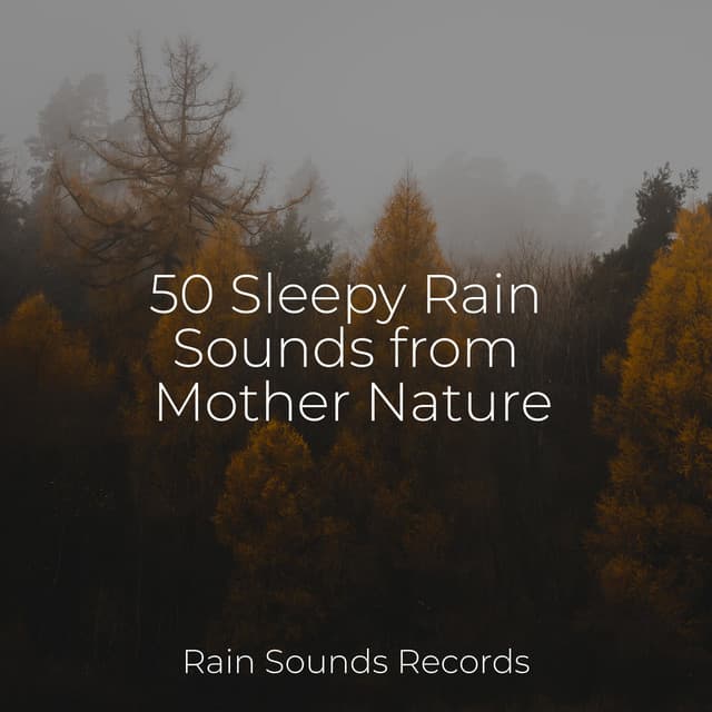 50 Sleepy Rain Sounds from Mother Nature - Meeresrauschen