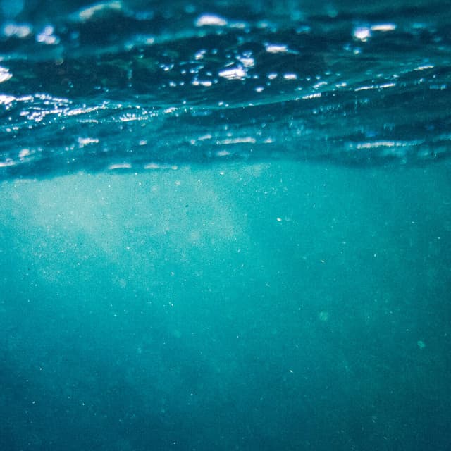 Ocean Sounds