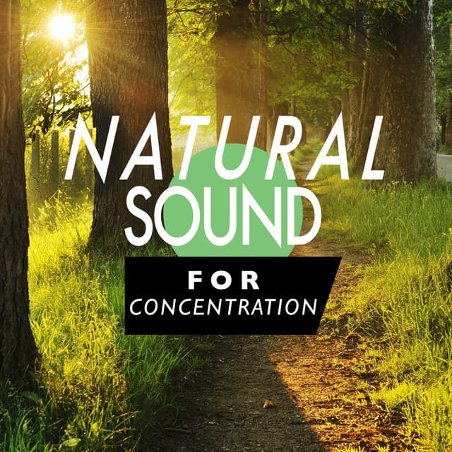 Natural Sound for Concentration - Nature Sound Series